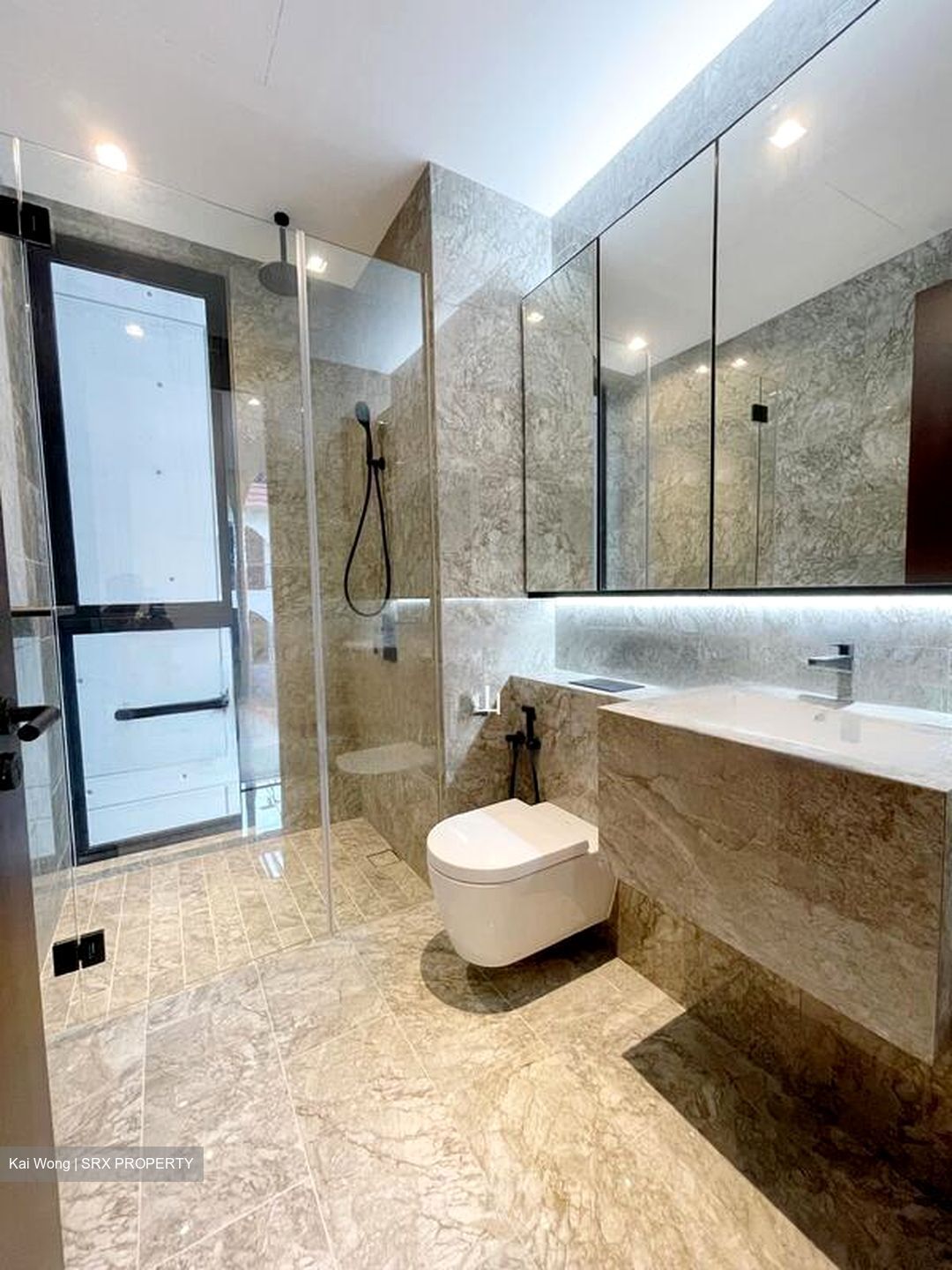 Jervois Privé (D10), Apartment #423822621
